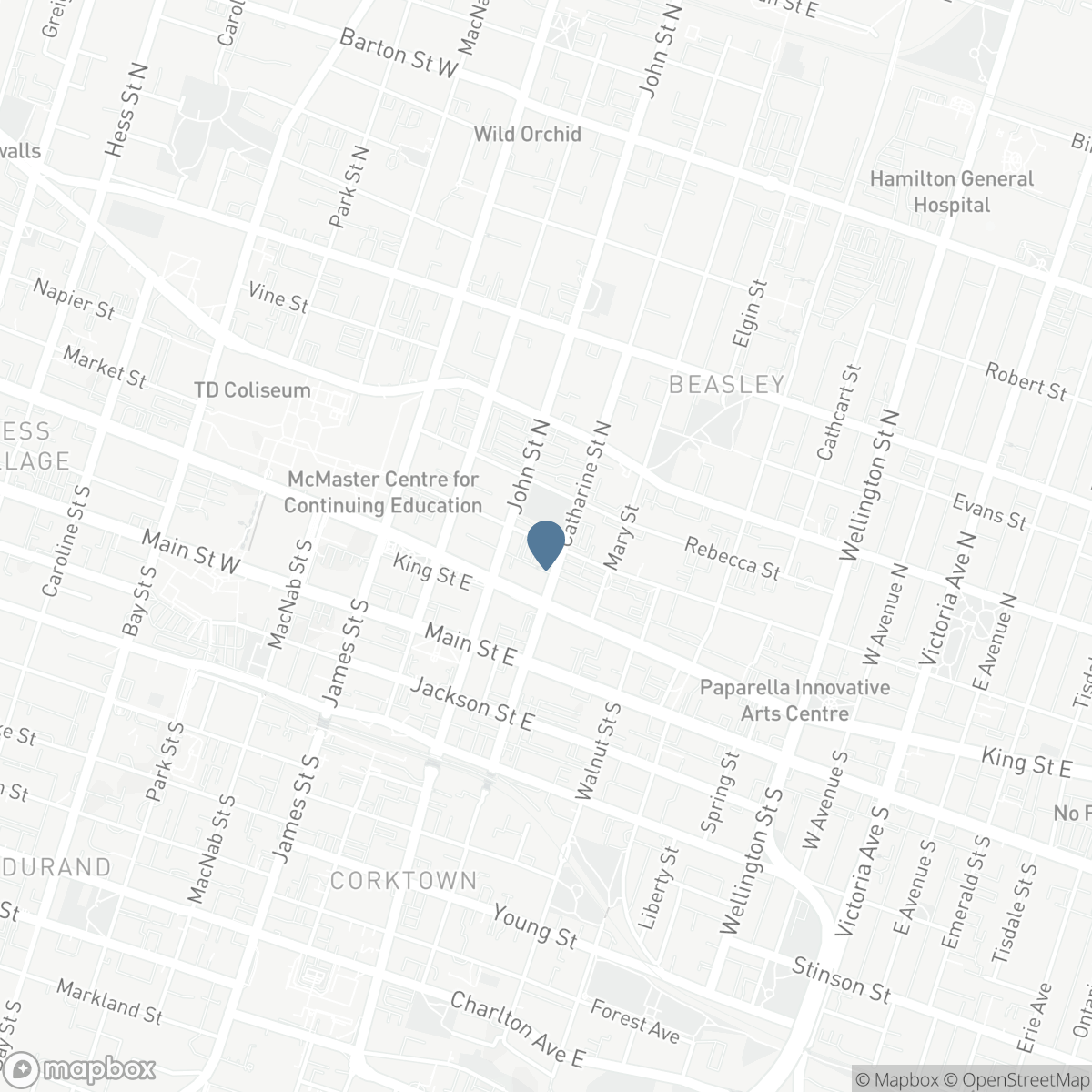 80 KING WILLIAM Street Unit# 214, Hamilton, Ontario L8R 0A1